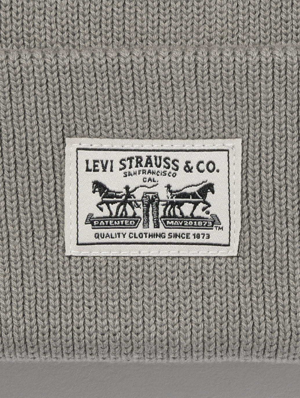 バックパッチビーニー