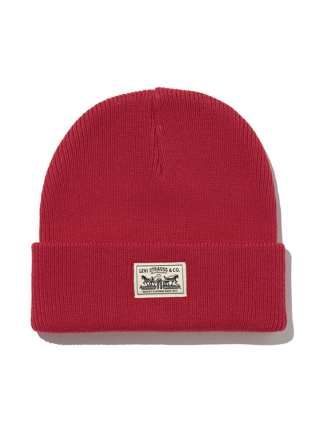 バックパッチビーニー