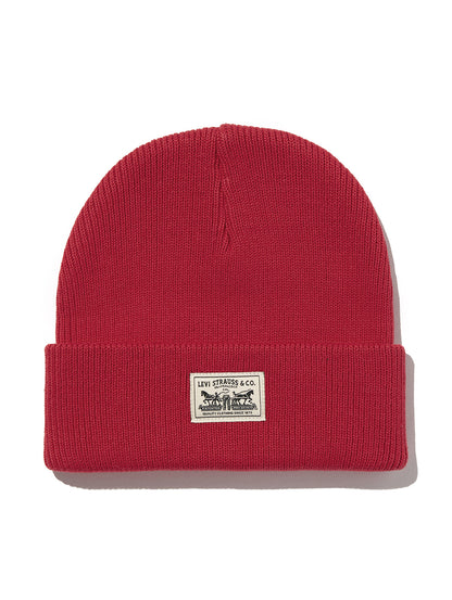 バックパッチビーニー