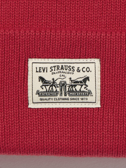 バックパッチビーニー