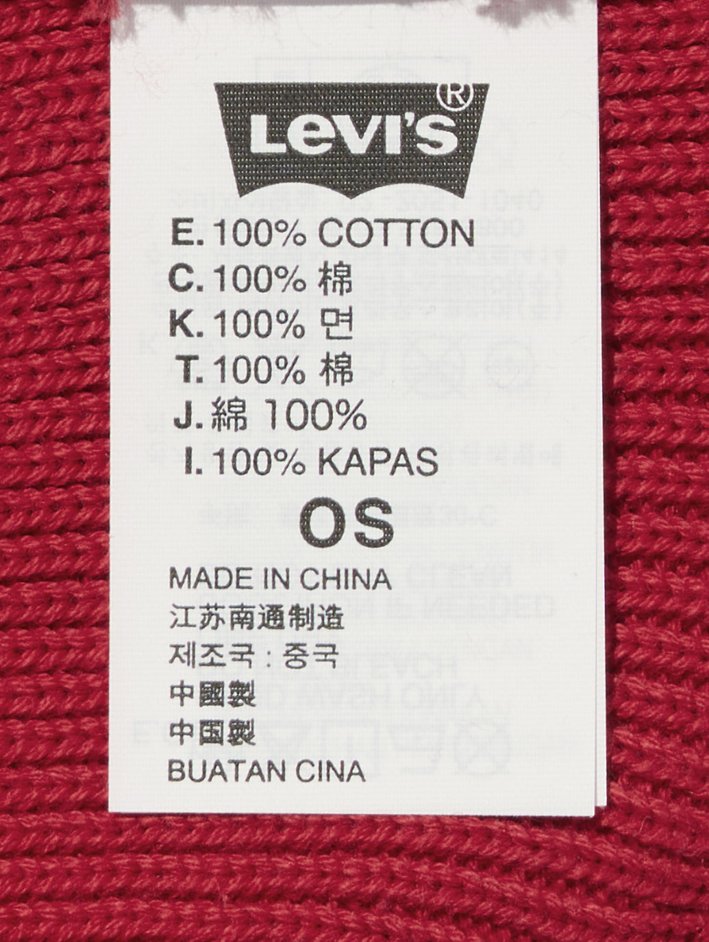 バックパッチビーニー