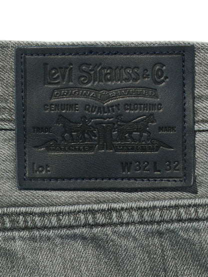 BLUETAB™ MARKER LOOSE ジーンズ グレー