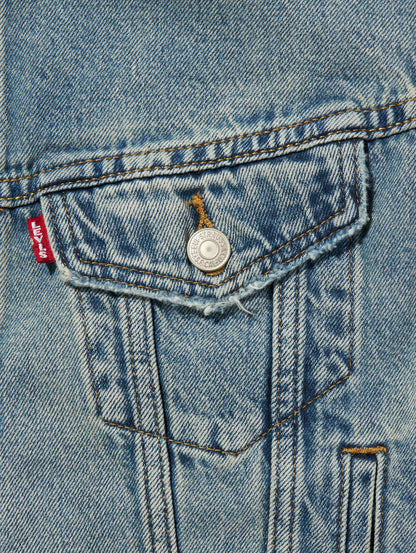 501® DAY SPECIAL COLLECTION ノーカラー SHRUNKEN 90S ベスト