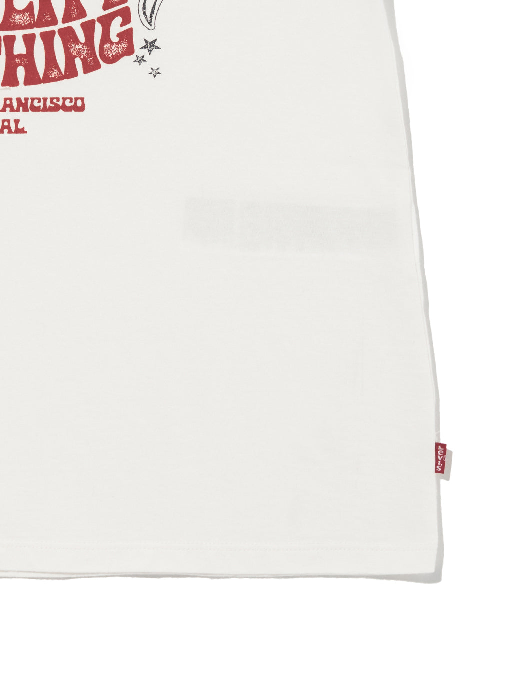 THE PERFECT Tシャツ