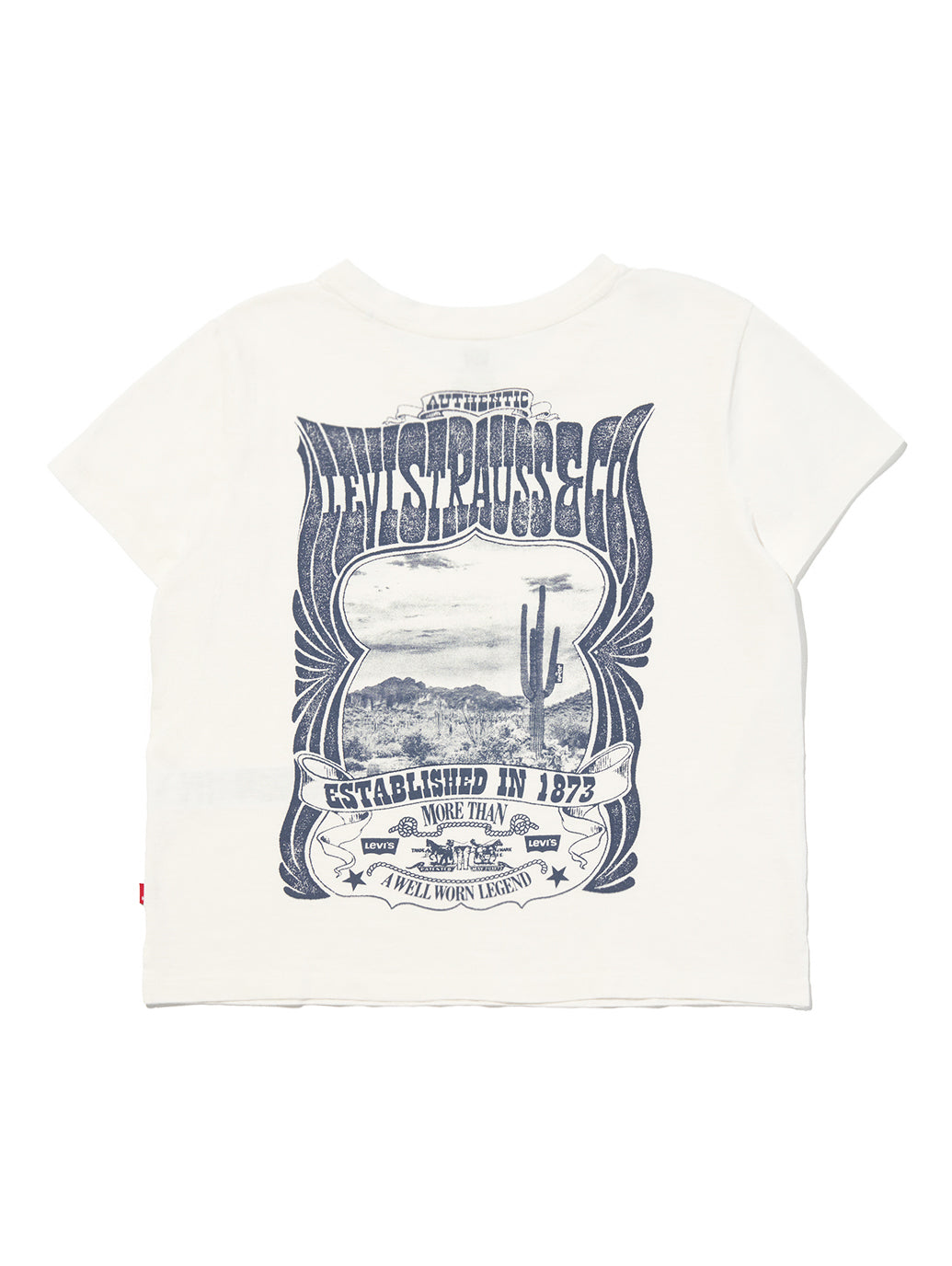 グラフィック ボックスシルエット Tシャツ