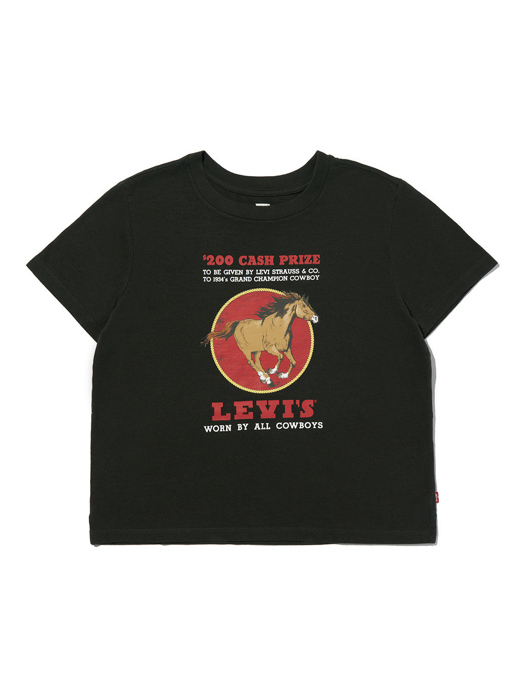 GRAPHIC ボックスTシャツ