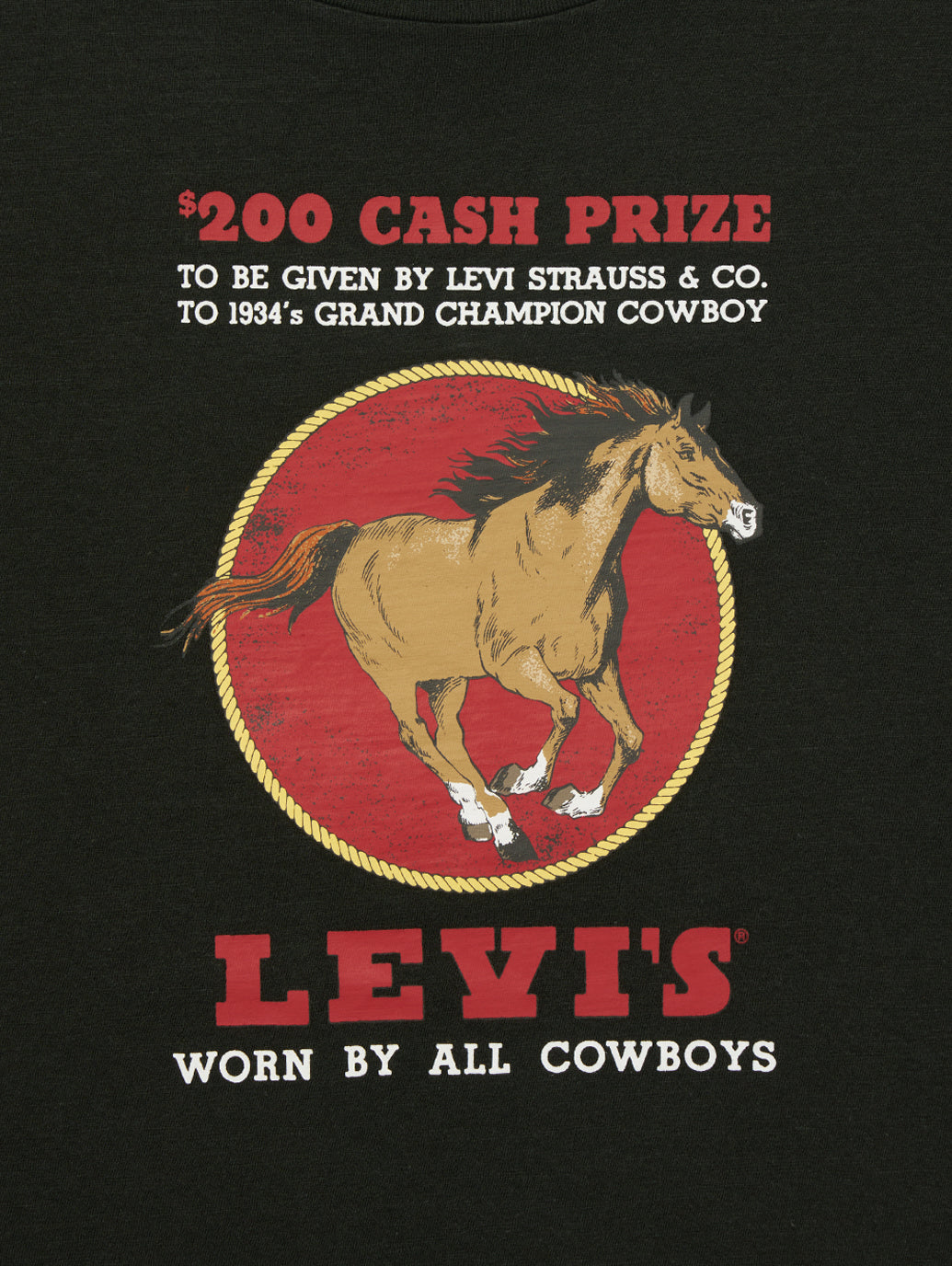 GRAPHIC ボックスTシャツ