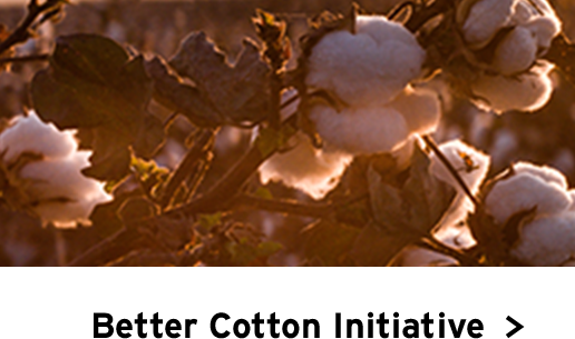 Better Cotton Initiative