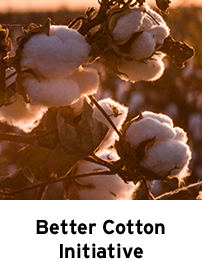 Better Cotton Initiative