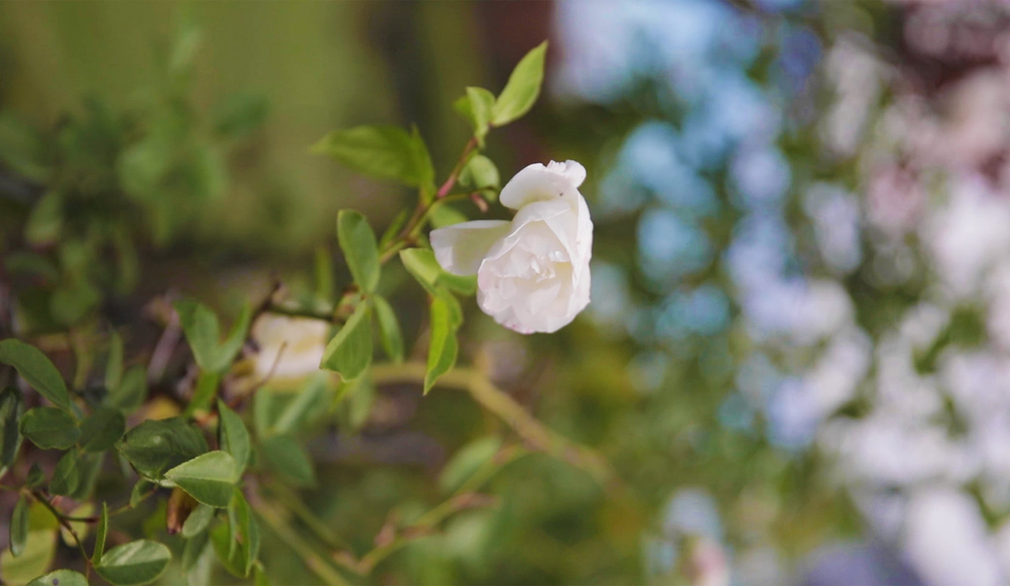 生産に関わるコミュニティを支援する
